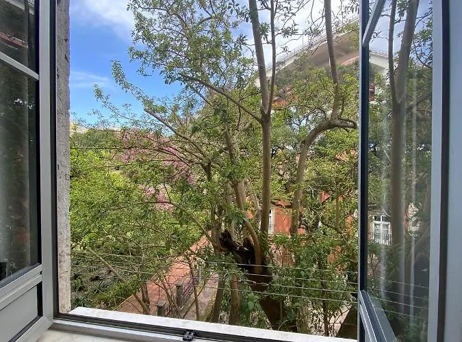 Casa Do Mocho Ii דירה ליסבון